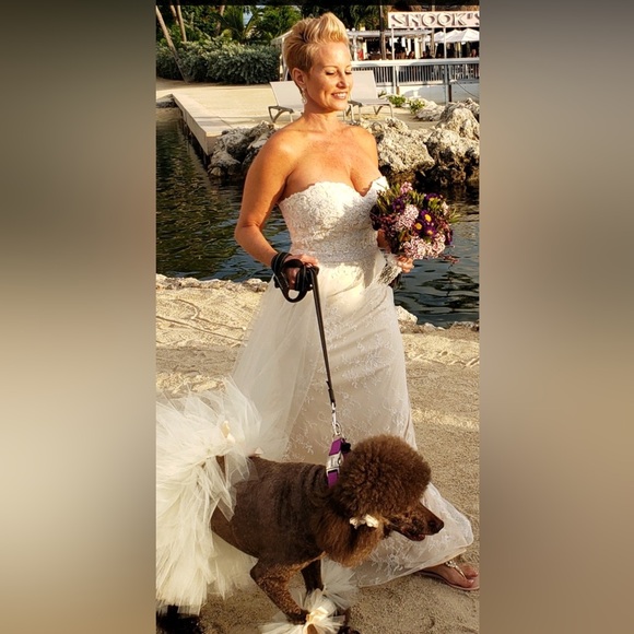 Wedding Dress - Picture 5 of 5